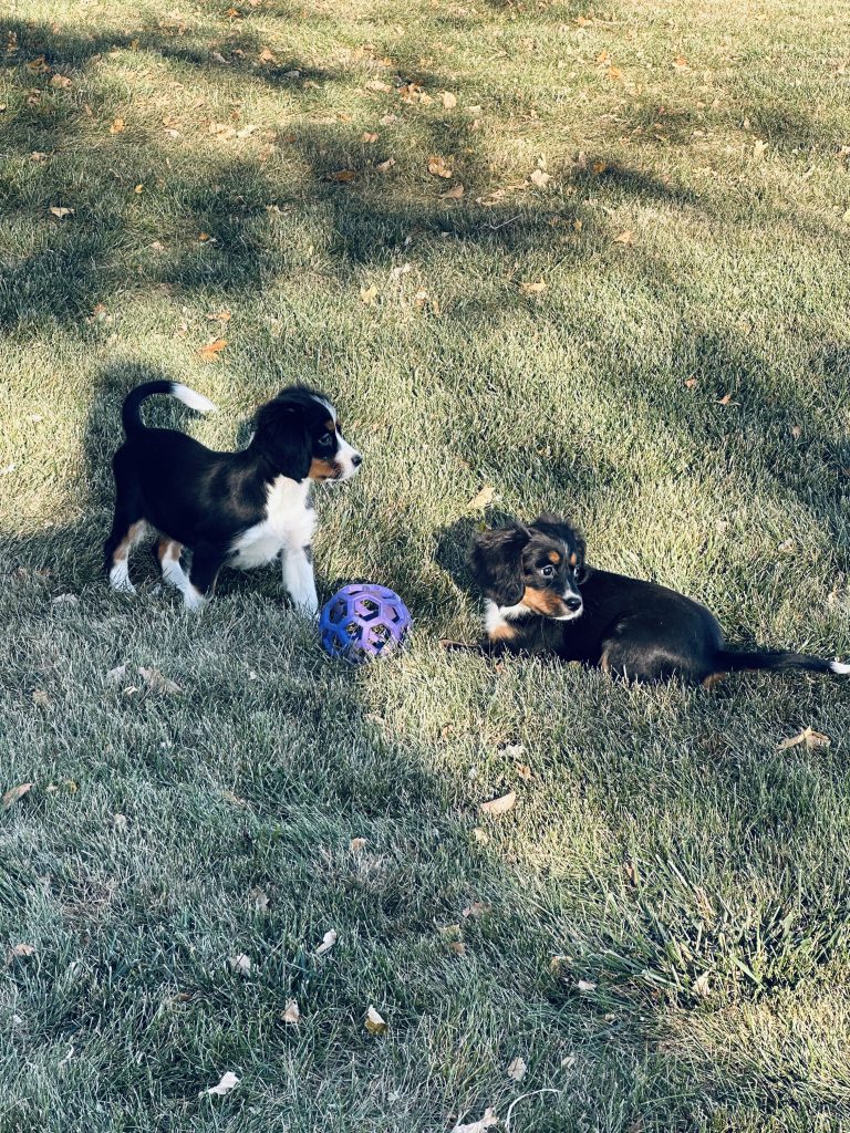 2EC6A653-C3E2-42F9-81DF-BD6664FDA65C_1_201_a-768×1024