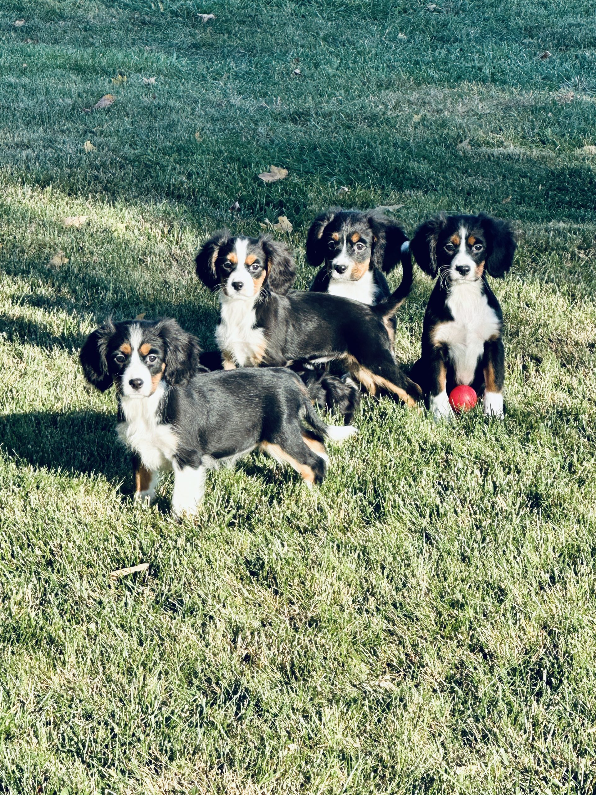 608AD613-AE6E-4305-84D8-BEC9A71AE094_1_201_a-scaled